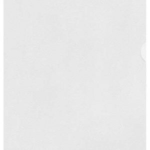 Esselte Caja de 100 Dossiers Uñero Formato A4 - Lamina de PP Piel de Naranja - Grosor 0.11mm