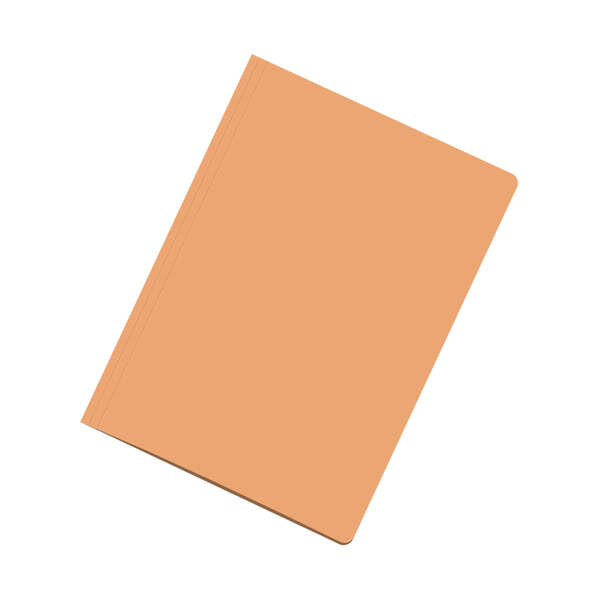 Dohe Subcarpetas Fabricadas en Cartulina de 180gr A4 - con Ranura para Fastener - Ideal para Organizar Documentos