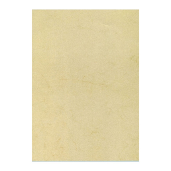 Apli Pack de 100 Hojas de Papel Textura Habana - Ideal para Impresiones Especiales - Compatible con Impresoras Inkjet, Laser y Fotocopiadoras - Color Habana