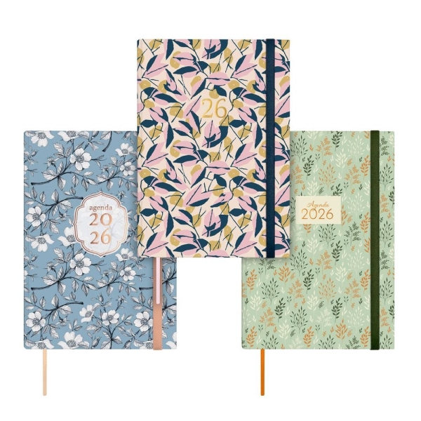 Finocam Dynamic Berlin Pack de 4 Agendas en Catalan - Anual 2026 - Cierre de Goma - Formato Y10 - 1 Dia por Pagina - Color Surtidos